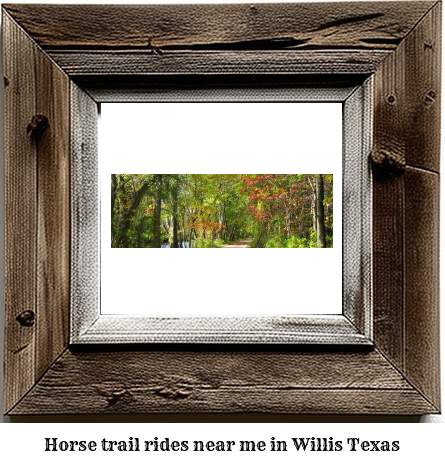 horse trail rides near me in Willis, Texas